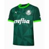 Maglia ufficiale Palmeiras 2023-24 Casa per Uomo